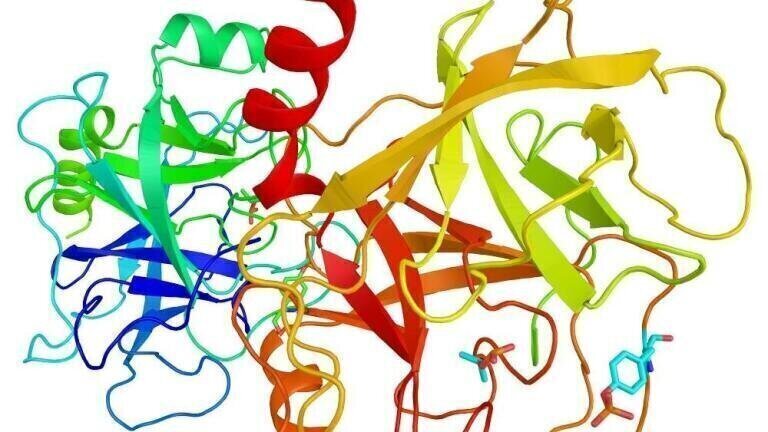 New SOLu-Trypsin Enzyme Brings Stability to Mass Spectrometry